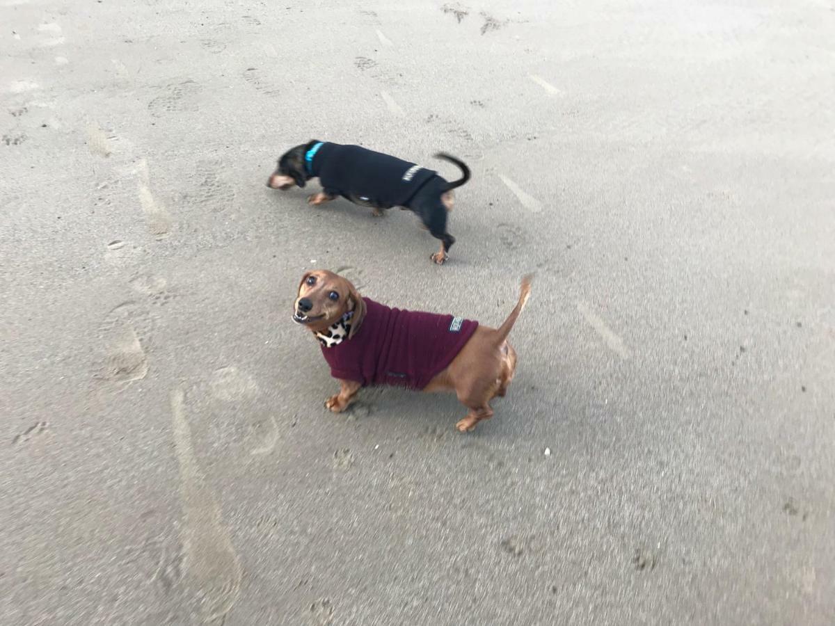 The Seahorse 1 Bedroomed Apartment Dog Friendly Filey Eksteriør bilde